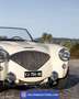 Austin Healey Healey Zwart - thumbnail 4