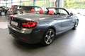 BMW 218 218i Cabrio Sport Line Grau - thumbnail 6