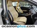 Lexus NX 300 300h Executive 4WD + Navibox Gris - thumbnail 17