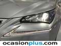 Lexus NX 300 300h Executive 4WD + Navibox Gris - thumbnail 13
