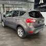 Ford Kuga Champions Edition,4x4,Sports., SH, BluTh. Brun - thumbnail 3