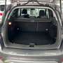 Ford Kuga Champions Edition,4x4,Sports., SH, BluTh. Brun - thumbnail 21