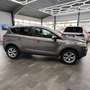 Ford Kuga Champions Edition,4x4,Sports., SH, BluTh. Brun - thumbnail 7