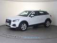 Audi Q2 35 TFSI intense Weiß - thumbnail 2