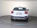 Audi Q2 35 TFSI intense Weiß - thumbnail 3