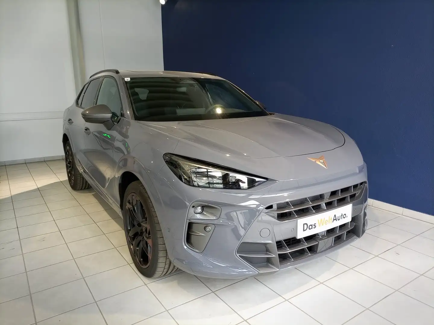 CUPRA Terramar VZ 2.0 TSI 265 PS DSG 4Drive Grau - 1