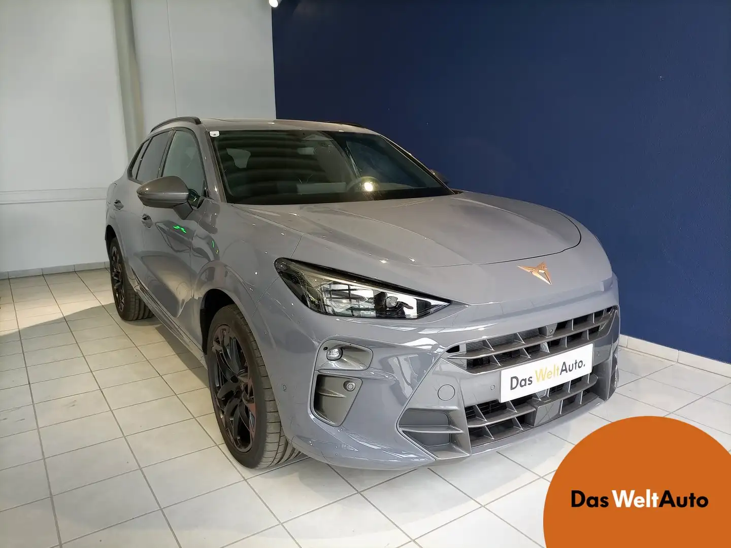 CUPRA Terramar VZ 2.0 TSI 265 PS DSG 4Drive Gris - 1