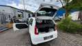 Skoda Citigo Sport 79TKM CNG!Scheckh.KlimaTÜV! SH FP!! Белый - thumbnail 8