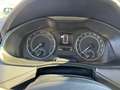 Skoda Kamiq Kamiq 1.0 TSI 110 CV Ambition Blu/Azzurro - thumbnail 15