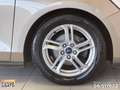 Ford Focus 1.5 ecoblue titanium 120cv auto Grigio - thumbnail 13