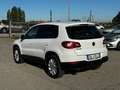 Volkswagen Tiguan Tiguan I 2011 1.4 TSI Trend&Fun BlueMotion Bianco - thumbnail 7