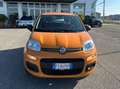 Fiat Panda Fiat panda 1.2 Lounge - 2019 Giallo - thumbnail 2