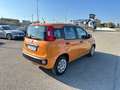 Fiat Panda Fiat panda 1.2 Lounge - 2019 Giallo - thumbnail 5