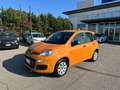 Fiat Panda Fiat panda 1.2 Lounge - 2019 Giallo - thumbnail 1