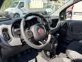 Fiat Panda 1.0 FIREFLY HYBRID 70CV Grigio - thumbnail 6