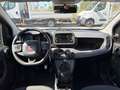 Fiat Panda 1.0 FIREFLY HYBRID 70CV Grigio - thumbnail 7