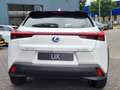 Lexus UX 250h Luxury Line LEDER STOELVERW CAMERA NAVI KEYLESS DO Wit - thumbnail 4