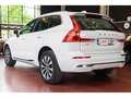 Volvo XC60 B4 Plus Bright AWD Aut. Blanco - thumbnail 27