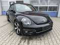 Volkswagen Beetle Cabrio Allstar *Xenon*DSG*Kamera*Navi* Noir - thumbnail 3