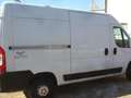 Fiat Ducato 35 L2H2  3.0 CNG METANO ISOTERMICO Wit - thumbnail 7