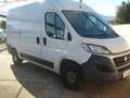 Fiat Ducato 35 L2H2  3.0 CNG METANO ISOTERMICO Wit - thumbnail 1