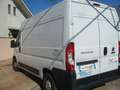 Fiat Ducato 35 L2H2  3.0 CNG METANO ISOTERMICO Bianco - thumbnail 4