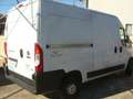 Fiat Ducato 35 L2H2  3.0 CNG METANO ISOTERMICO Bianco - thumbnail 8