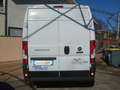 Fiat Ducato 35 L2H2  3.0 CNG METANO ISOTERMICO Wit - thumbnail 5