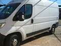 Fiat Ducato 35 L2H2  3.0 CNG METANO ISOTERMICO Wit - thumbnail 6