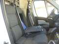 Fiat Ducato 35 L2H2  3.0 CNG METANO ISOTERMICO Bianco - thumbnail 12