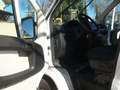 Fiat Ducato 35 L2H2  3.0 CNG METANO ISOTERMICO Wit - thumbnail 15
