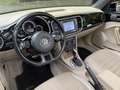Volkswagen Beetle Beetle Cabriolet 1.4 TSI Sport DSG Euro 6B 1er Pro Noir - thumbnail 15