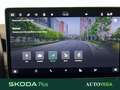 Skoda Kodiaq 1.5 mhev executive 150cv dsg 7p.ti Grigio - thumbnail 16
