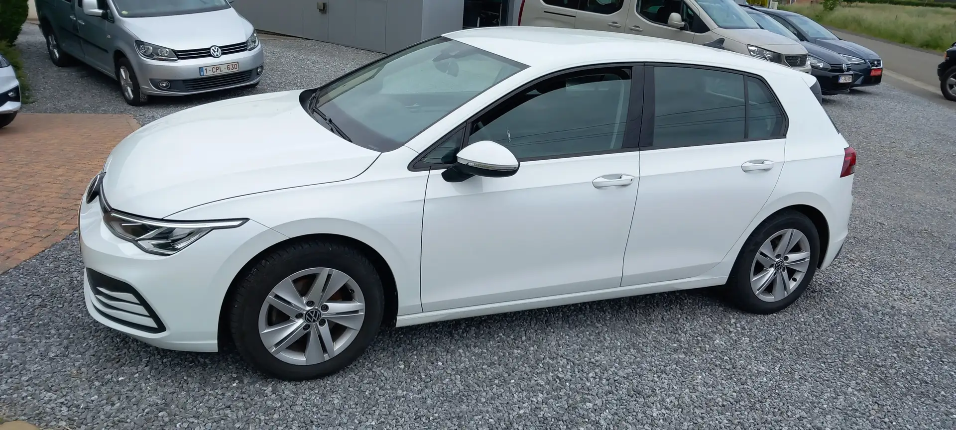 Volkswagen Golf 1.0 TSI Life OPF Wit - 2