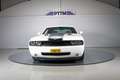 Dodge Challenger V6 Wit - thumbnail 12