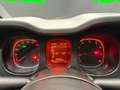 Fiat Panda Panda 1.0 firefly hybrid s PREZZO REALE! Argento - thumbnail 11