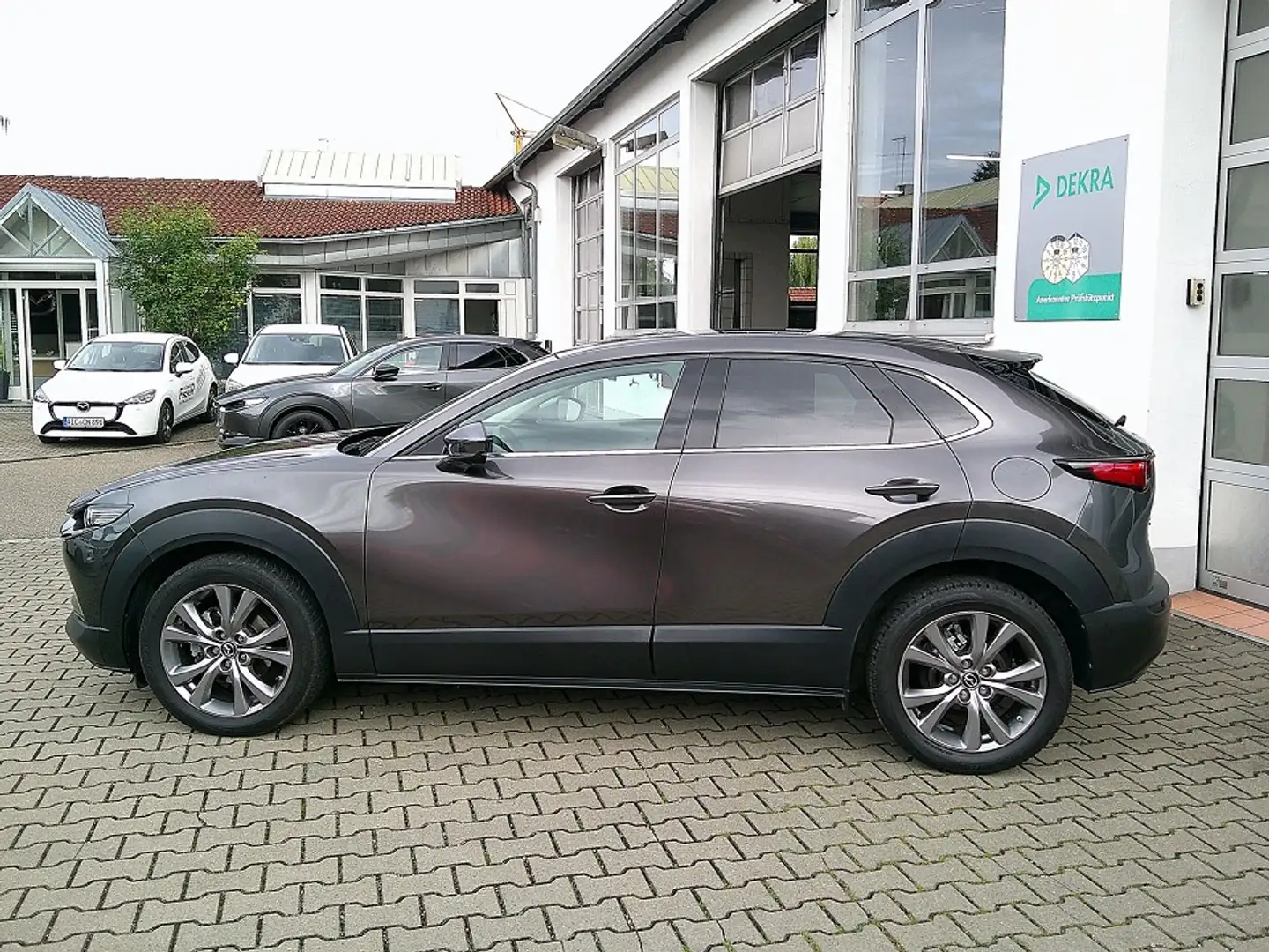 Mazda CX-30 SKYACTIV 150 AT Selection BOSE/360°/NAVI/HUD Grau - 2