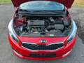Kia Ceed / cee'd Ceed 1.4 DreamTeam Winter Paket Navi Klimaauto. Rot - thumbnail 33