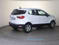 Ford EcoSport Cool & Connect Weiß - thumbnail 8