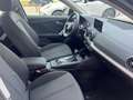 Audi Q2 35 TFSI S tronic Admired RESTYLING PARI AL NUOVO Noir - thumbnail 8