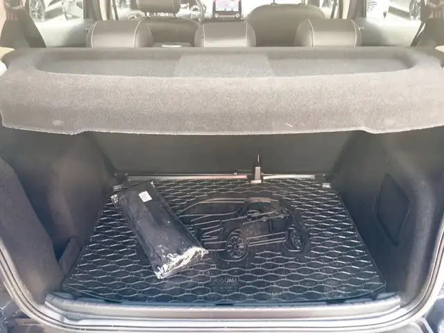 Ford Ecosport view 6