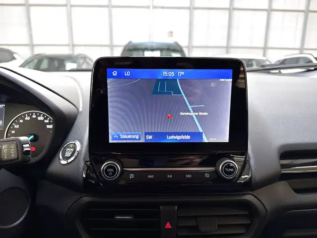 Ford Ecosport view 12