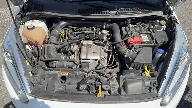 Ford Fiesta view 15