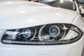 Jaguar XF XF  Berlina 2.2 TDI 190CV Edition AUTOMATICO PELLE Weiß - thumbnail 20