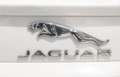Jaguar XF XF  Berlina 2.2 TDI 190CV Edition AUTOMATICO PELLE Weiß - thumbnail 25