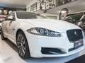 Jaguar XF XF  Berlina 2.2 TDI 190CV Edition AUTOMATICO PELLE Bianco - thumbnail 1