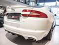 Jaguar XF XF  Berlina 2.2 TDI 190CV Edition AUTOMATICO PELLE Weiß - thumbnail 27