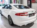 Jaguar XF XF  Berlina 2.2 TDI 190CV Edition AUTOMATICO PELLE Bianco - thumbnail 4