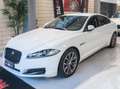 Jaguar XF XF  Berlina 2.2 TDI 190CV Edition AUTOMATICO PELLE Bianco - thumbnail 6
