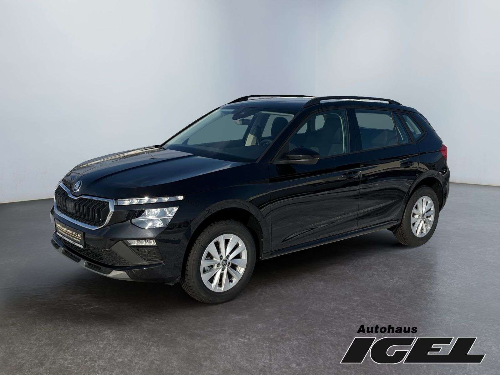 Skoda Kamiq occasion